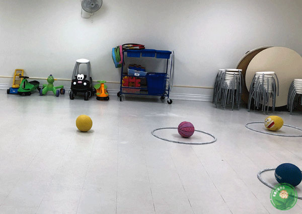 Our gym features a variety of toys, from balls and hula-hoops to rideable carts.
